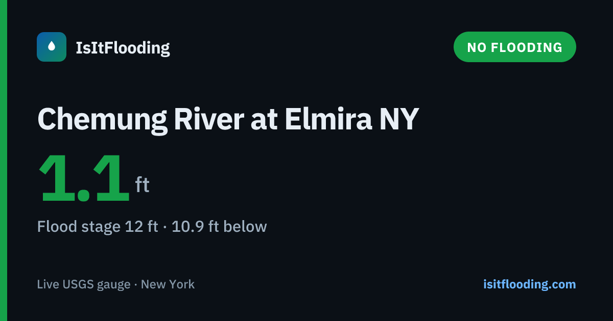 Chemung River at Elmira NY — River Level & Flood Stage