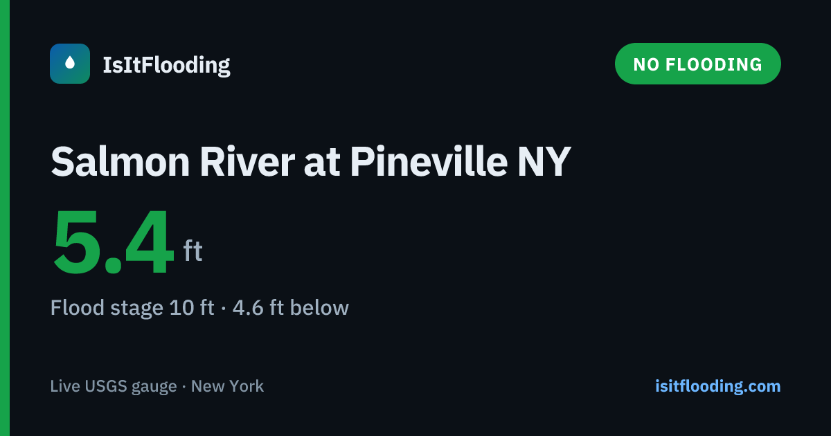 Salmon River at Pineville NY — River Level & Flood Stage