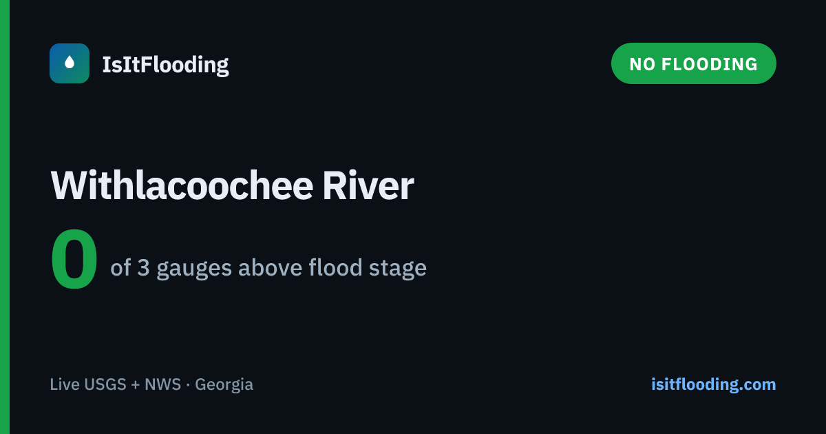 Is the Withlacoochee River Flooding? Live Levels & Status